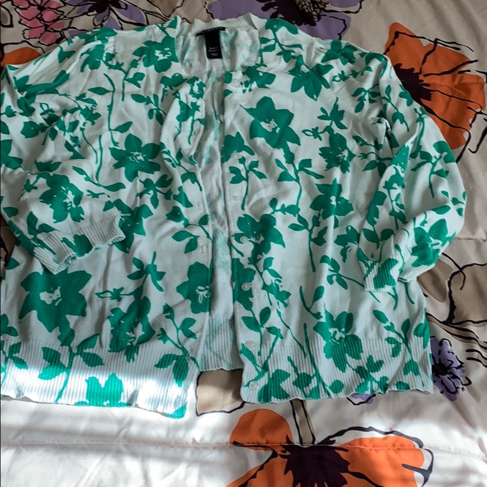Lane Bryant Sweater